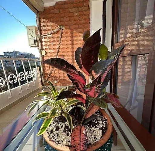 Skanderbeg Square Center * 地拉那